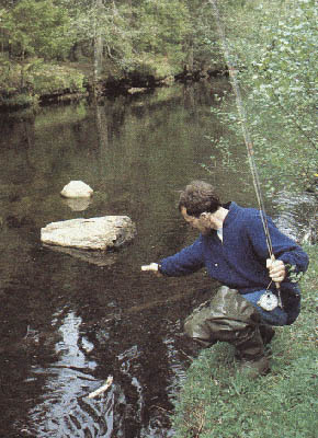 Beng och &ouml;ring