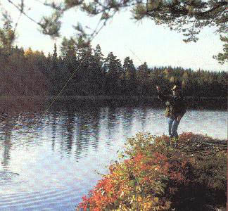 �Harry Salmgren