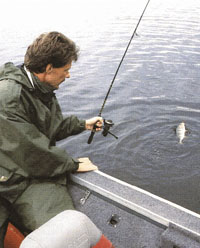 Ral&aring;ngen i Olja&COPY;Harry Salmgren
