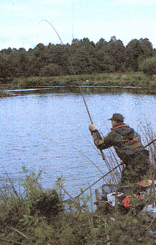 Mete, m&aring;ttfull hobby &COPY;1990;Harry Salmgren