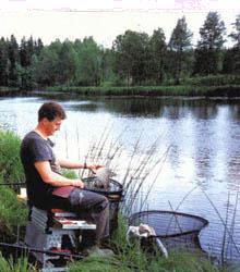 Braxen, en guldfisk f&ouml;r vinst &COPY;Harry Salmgren